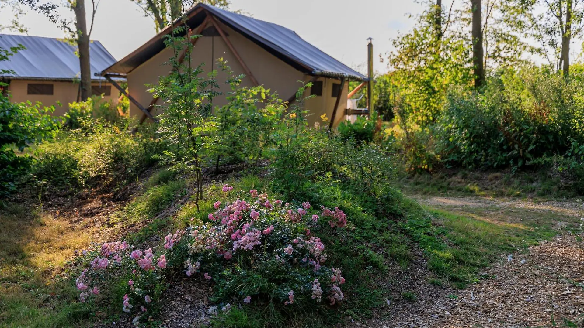Camping Valkenburg - Maastricht Valkenburg aan de Geul